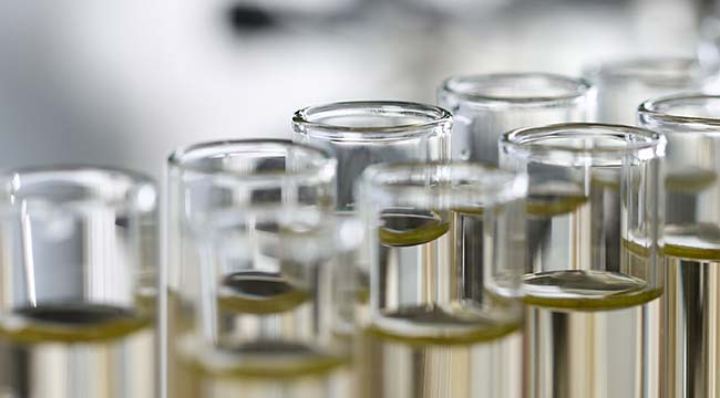 Research & Development