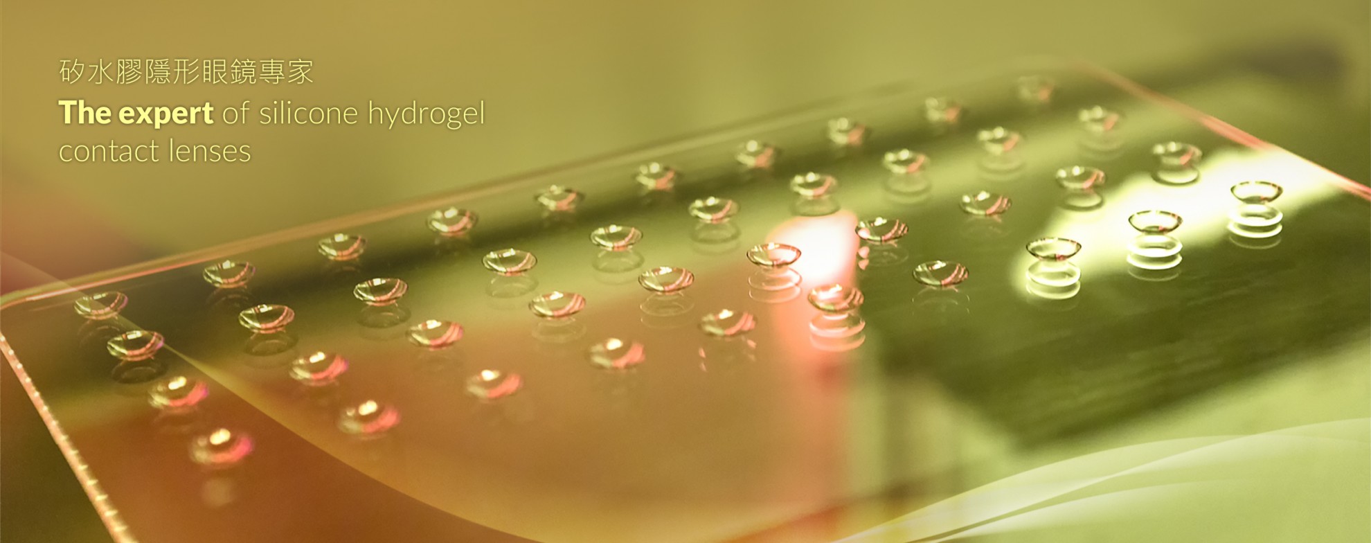 矽水膠隱形眼鏡專家